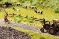 60773.jpg