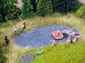 60850.jpg