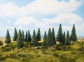 24641.jpg