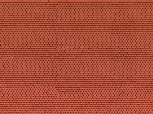 56690.jpg