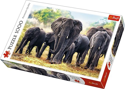 10442.jpg