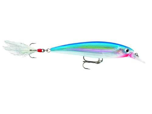 XR08 SB.png