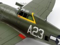 60769-5.jpg
