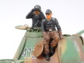 35176t-4.jpg