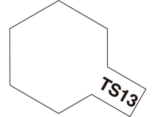 ts13.jpg