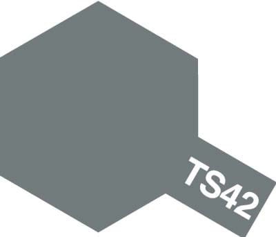 ts42.jpg
