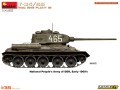 37065-a.jpg