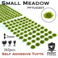 PFTU0207.jpg