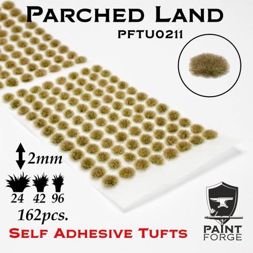 PFTU0211.jpeg