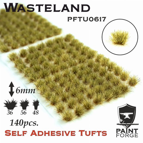 PFTU0617.jpeg