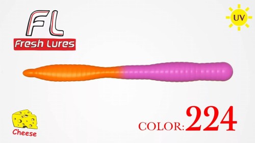 flatworm224.jpg
