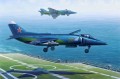 80362-1.jpg