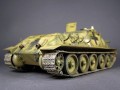 35229-4.jpg