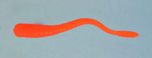 GIRINO KILLER_18.jpg