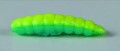 LARVA DEL MIELE_2.jpg