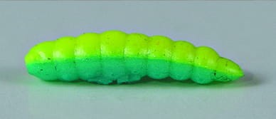 LARVA DEL MIELE_2.jpg
