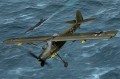 80184-1.jpg
