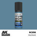 RC816_output_image.png