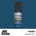 RC817_output_image.png