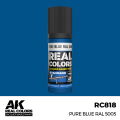 RC818_output_image.png