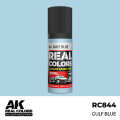 RC844_output_image.png