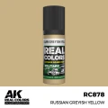 RC878_output_image.png