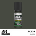 RC939_output_image.png