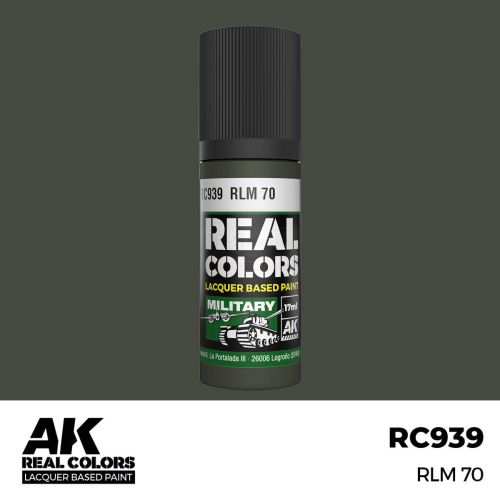 RC939_output_image.png