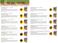 ammo84_leaves (1).png
