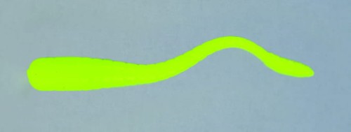 GIRINO KILLER_10.jpg