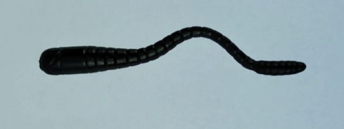 GIRINO KILLER_13.jpg