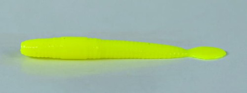 VERME PALETTATO_2.jpg