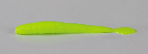 verme palettato_16.jpg