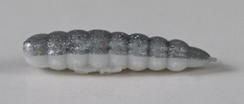 larva_del_miele_3.jpg