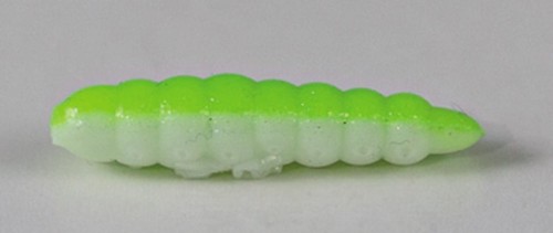 larva_del_miele_4.jpg