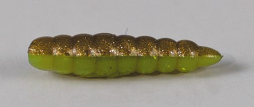 larva_del_miele_5.jpg