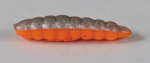 larva_del_miele_8.jpg