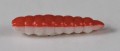 larva_del_miele_10.jpg