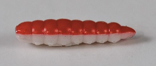 larva_del_miele_10.jpg
