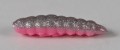 larva_del_miele_12.jpg