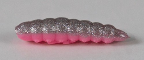 larva_del_miele_12.jpg