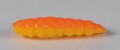 larva_del_miele_13.jpg