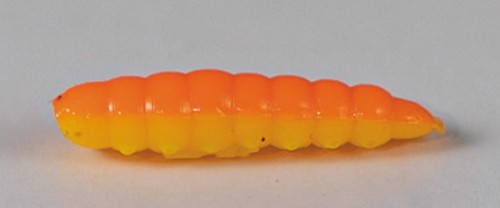 larva_del_miele_13.jpg