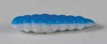 larva_del_miele_15.jpg