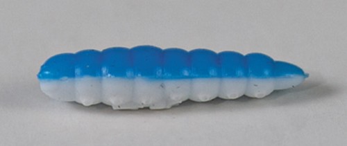 larva_del_miele_15.jpg