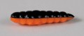 larva_del_miele_17.jpg