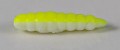 larva_del_miele_21.jpg