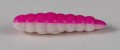 larva_del_miele_22.jpg
