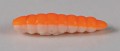 larva_del_miele_23.jpg