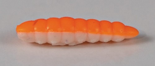 larva_del_miele_23.jpg